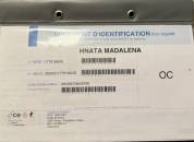 Jument lusitanienne 9 ans 