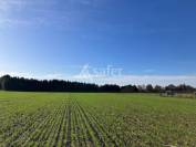 Landbouw bedrijf Koop Indre-et-Loire