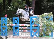 Jument Connemara A vendre 2018 Gris par GENTLE CHARLIE