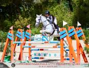 Jument Connemara A vendre 2018 Gris par GENTLE CHARLIE