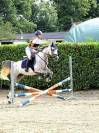À vendre, superbe poney gris de 5 ans, toisant 146 cm, 