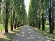 Mooi hippisch vastgoed Koop Jura