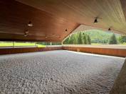 Mooi hippisch vastgoed Koop Jura