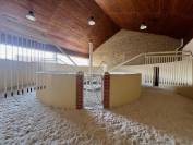 Mooi hippisch vastgoed Koop Jura