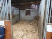 Eigenaren stal Huur Rhône