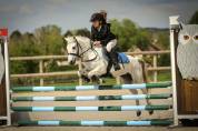 Ruin Welsh Pony (Section B) Te koop 2025 Schimmel