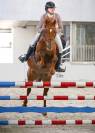 Poney d de sport 