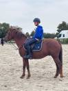 Poney d de sport 