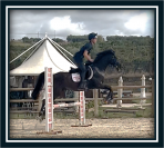 Ruin Engelse rijpony Te koop 2018 Bruin / Bai ,  GREENGAGE  FOOL