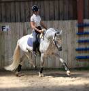 Pure race espagnol plein papier Sport 