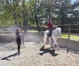 Trouver aisance et d&eacute;contraction &agrave; cheval 