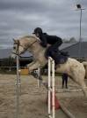 Poney pleins papiers 8 ans