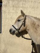 Poney pleins papiers 8 ans