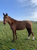 Happy du Banney 8 ans 