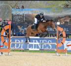 Pony femmina Olandese