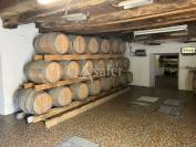 Propri&eacute;t&eacute; viticole sud de la m&eacute;tropole de Nantes