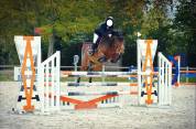 A vendre poney de sport pour As Elite et International