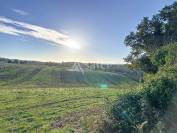 Maison de charme au coeur du bocage vallonn&eacute;, avec vue imprenab