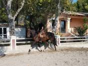 BOHEMIO - PRE 14 ans - Tous niveaux