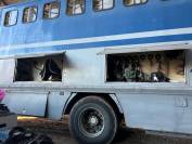 Camion PL chevaux 8 places + appartement 4 couchages 