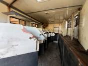 Camion PL chevaux 8 places + appartement 4 couchages 