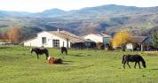 EN Ard&egrave;che , 13 hectares propri&eacute;t&eacute; ,avec location g&icirc;te