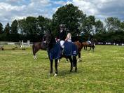 Ego Louvo Hongre de 11 ans 