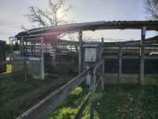 Marcheur couvert occasion 