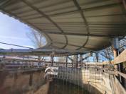 Marcheur couvert occasion 