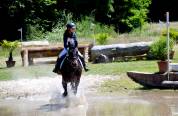 Pension pour chevaux / poney 