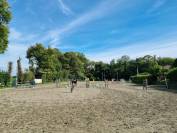 Pension pour chevaux / poney 