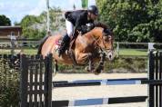Pension pour chevaux / poney 