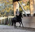 Jument dressage d&rsquo;avenir 