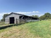 Exploitation agricole sur 79 hectares