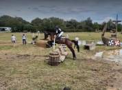 Propose demi-pension ou pension compl&egrave;te &ndash; Jument 8 ans