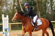 Propose demi-pension &ndash; Poney de sport 8 ans
