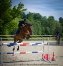 Recherche DP pour cheval 7 ans