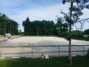 Mise &agrave; disposition &ndash; Boxes nus, paddocks individuels & 