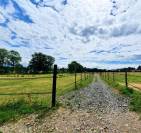 Mise &agrave; disposition &ndash; Boxes nus, paddocks individuels & 