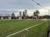 Structure &eacute;questre