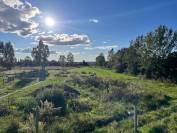 Structure &eacute;questre