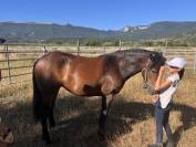 Jolie ponette C connemara plein papier pleine pour 2026