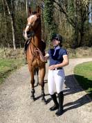 Cavalier/soigneur ou Palefrenier/soigneur 