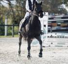 Recherche demi / tiers de pension