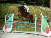 Magnifique poney - Vick Le King