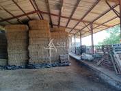 Explotaci&oacute;n agr&iacute;cola En venta Vienne