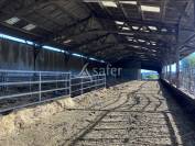 A vendre ferme avec maison d'habitation et b&acirc;timents agricoles