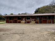 Propri&eacute;t&eacute; &eacute;questre de caract&egrave;re