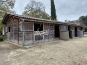 Propri&eacute;t&eacute; &eacute;questre de caract&egrave;re