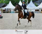 Jument 11 ans loisirs ou cso